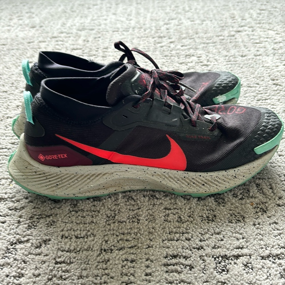Nike Pegasus trail goretex waterproof men’s size 11.5